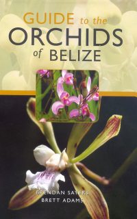 Guide to the Orchids of Belize